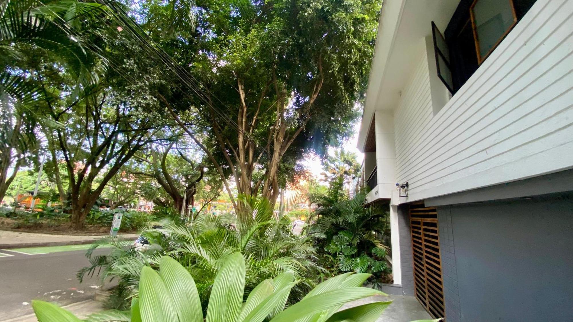 Casa Mosaiko Primer Parque Laureles Medellín Eksteriør bilde
